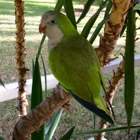 Meet your Posher, Jana - Picture 1 of 1